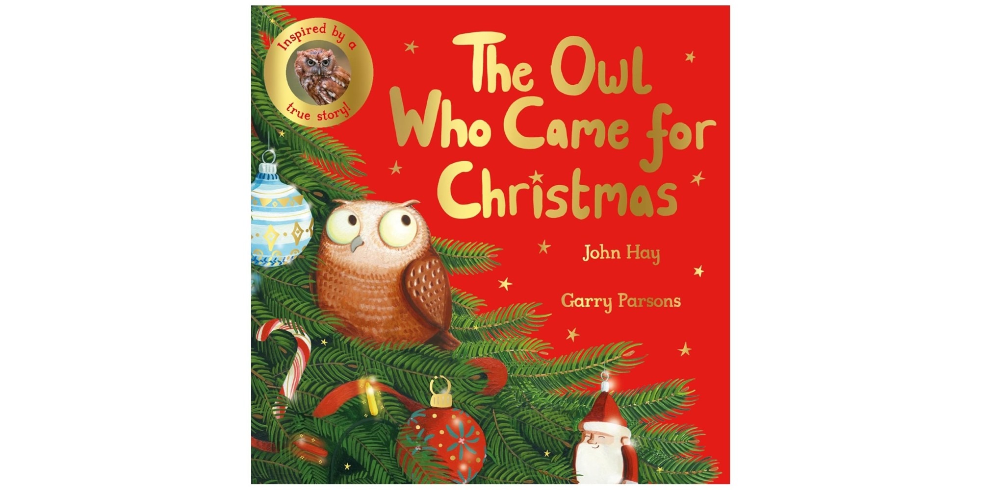 The Owl Who Came for Christmas review
