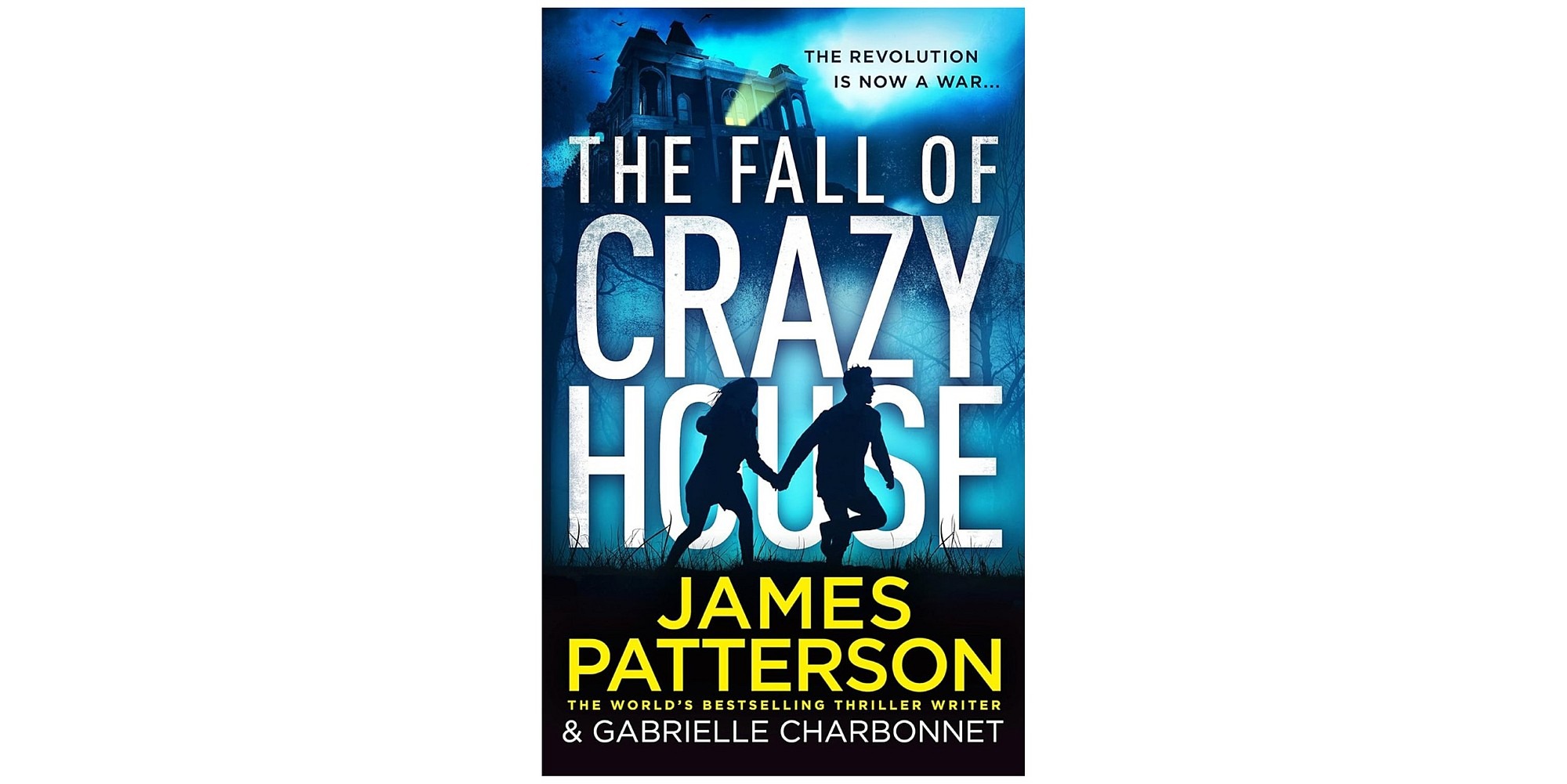 The Fall of Crazy House review