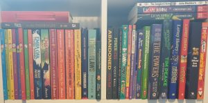 How to Build a Mini Home Library on a Budget